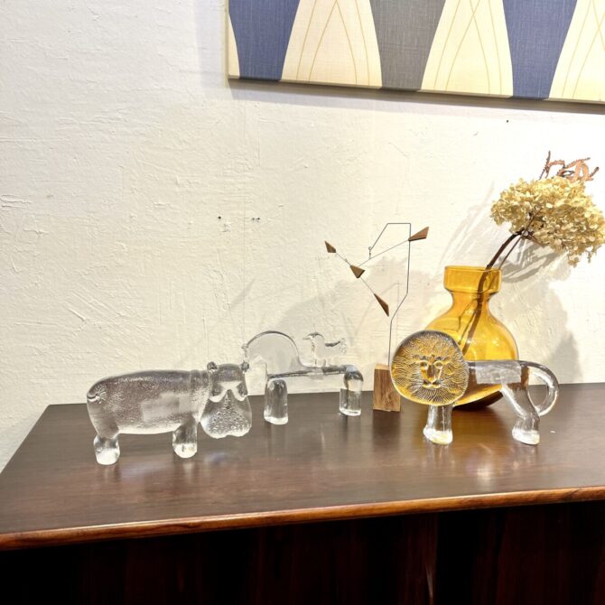 コスタボダ　ZOO 買取